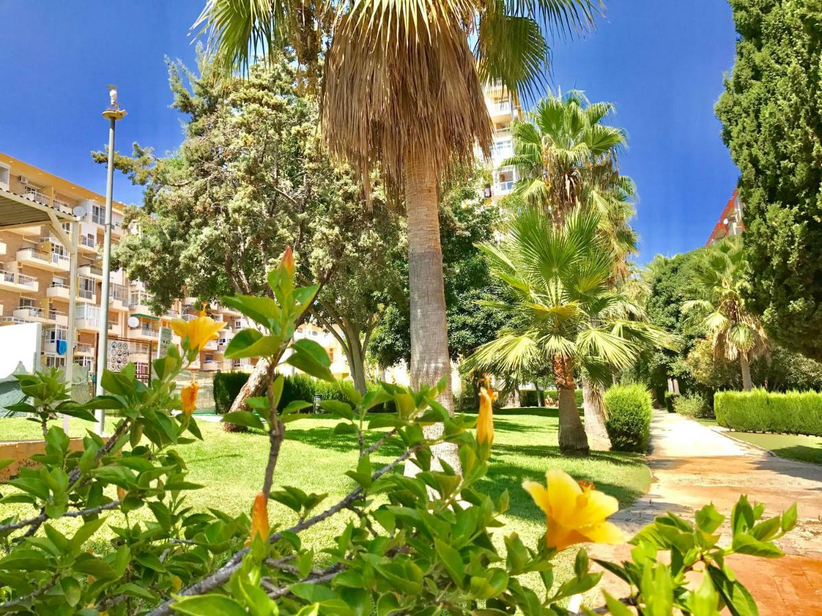 Edificio Hercules Appartement